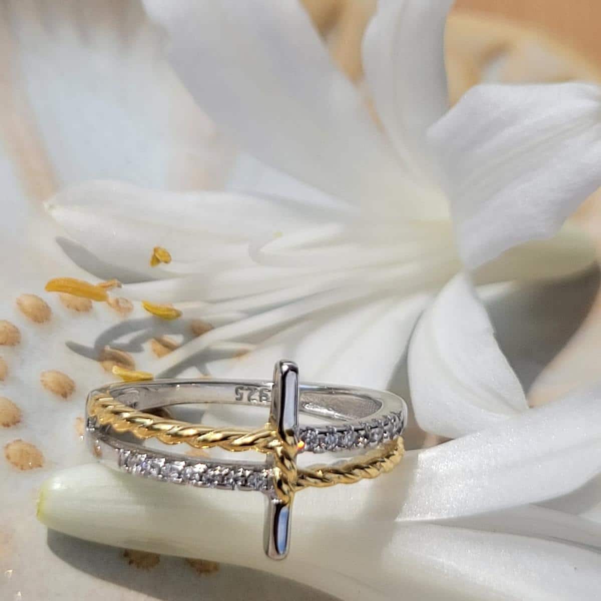 Anillo Cruz Doble en Plata 925