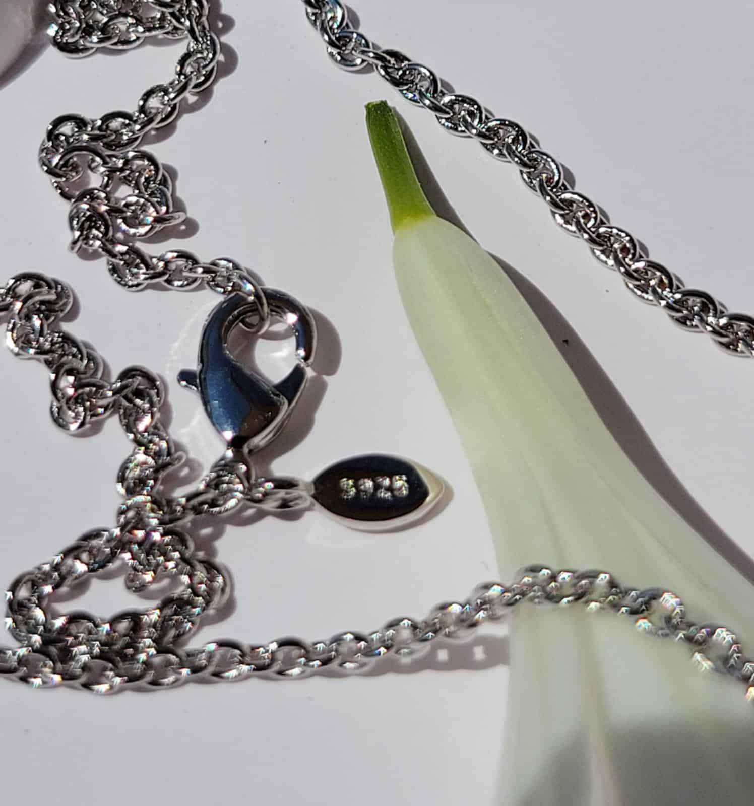 Collar Virgen de Guadalupe - Imagen 3