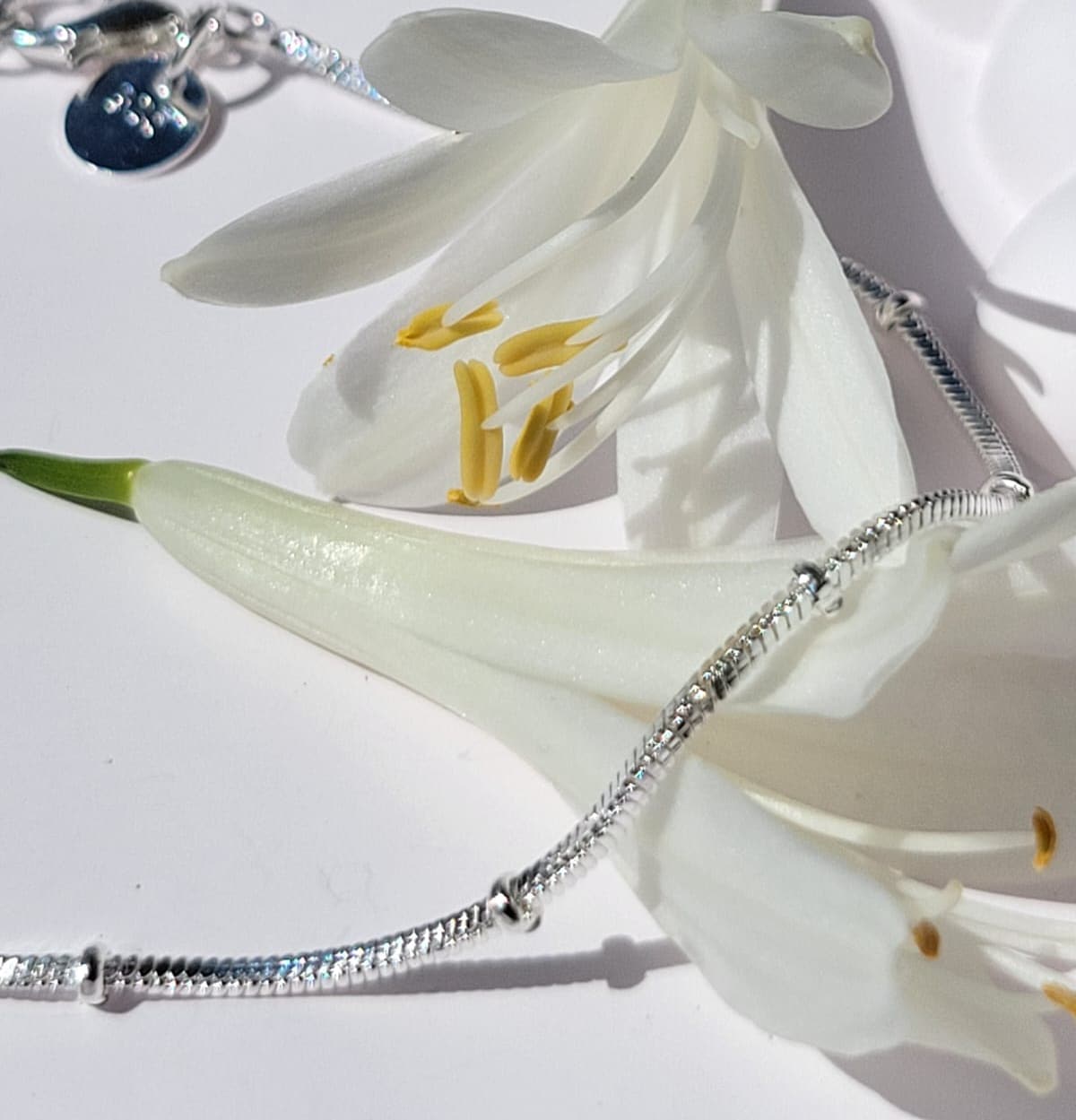 Collar Elegante de Plata 925