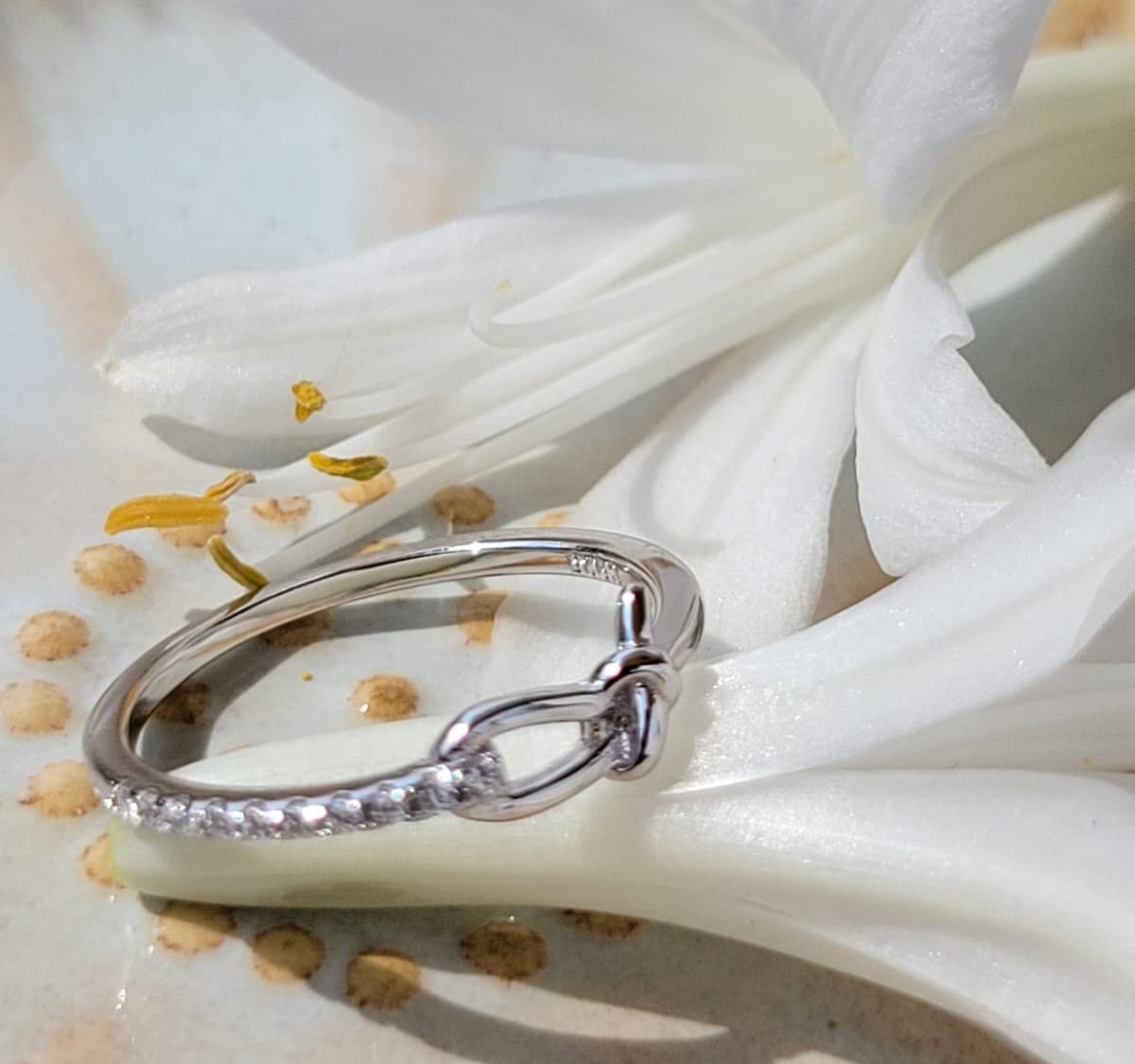 Anillo de Nuestra Señora Desatadora de Nudos