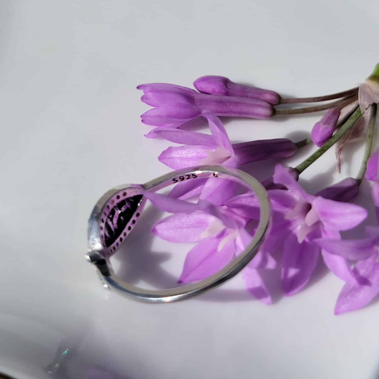 Anillo Jesús - Imagen 3